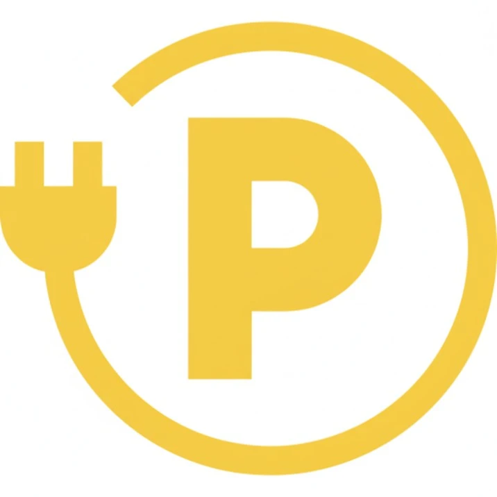 parking for new year